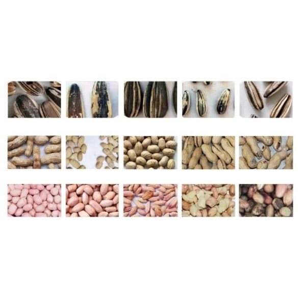 Deep Learning Beans Peanut Color Sorter 220V Optical Seed Sorter