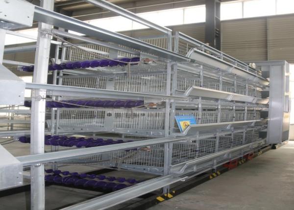 Cheap Reliable Safety Cage Holding Poultry Chicken Breeding Cages Save Space for sale