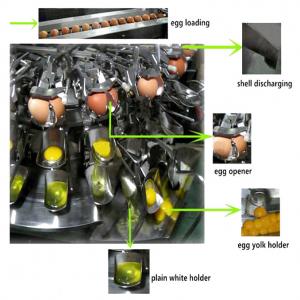 China Egg Yolk and Egg White Separator Automatic Egg Breaker on sale