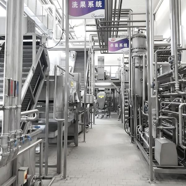 Factory Customized turn-key project full automatic hawthorn processing line