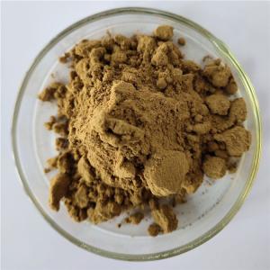 Pharmaceutical grade phyllanthus amarus extract with best price