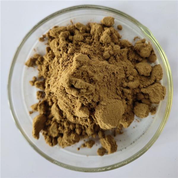 Cheap Pharmaceutical grade phyllanthus amarus extract with best price for sale