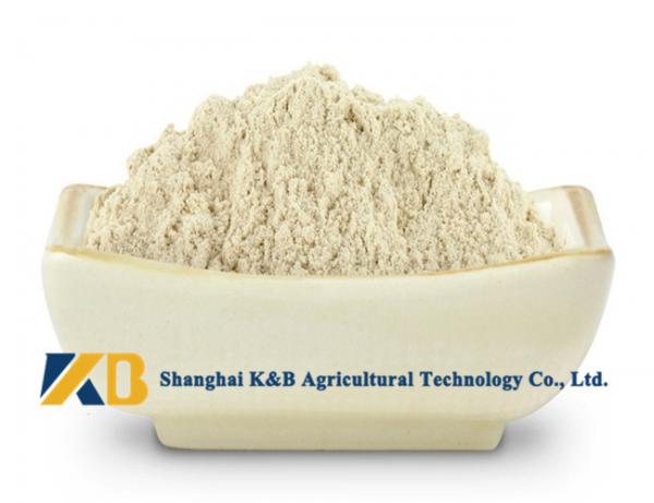 Pure Brown Rice Protein Products / Rice Based Protein Powder For Animal Feed