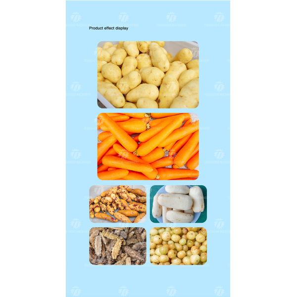 Large Medium And Small Brush potato Cleaning Machine Stainless Steel