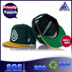 Anti - Pilling Classic Green Snapback Cap , Cool Flat Bill Snapback Hats For
