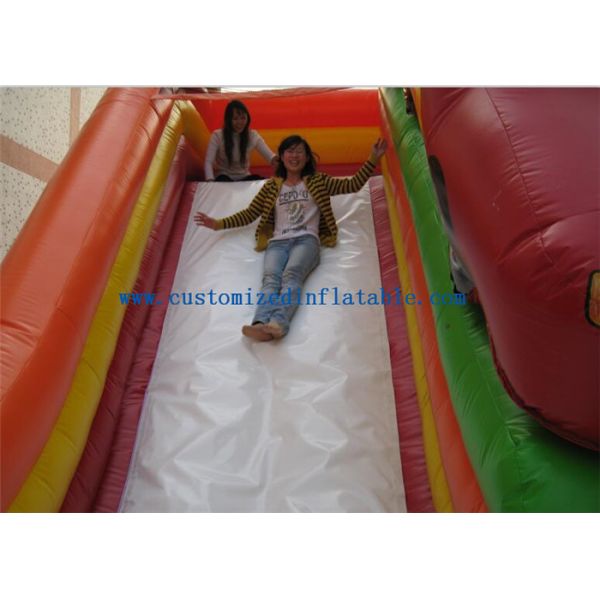 Cartoon Giant Commercial Water Slip And Slide Inflatable Toys For Adults And Kids