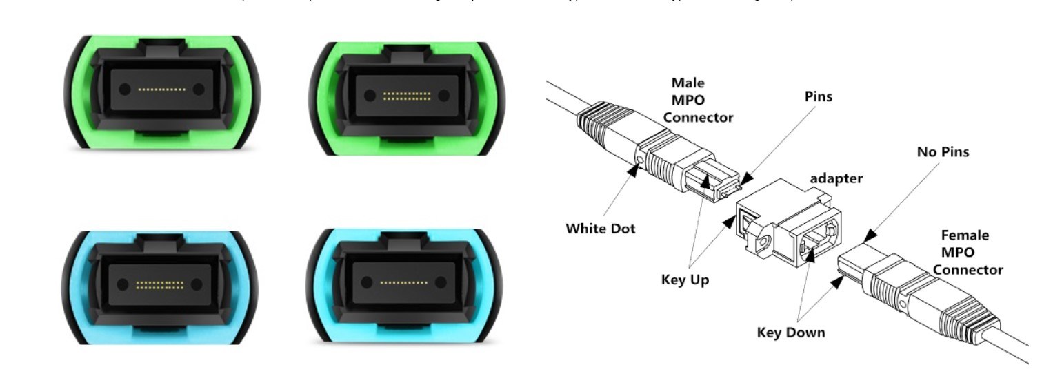 Maximize Your Network's Potential with Our Seamless FTTX MPO Fiber Connector Kit