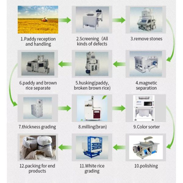 High Speed Ccd Color Sorter Machine Small Agriculture Machinery​ 0