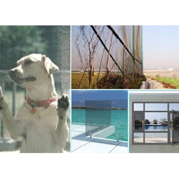 Polyester 30m Pet Proof Window Screen Door Plain / Twill Weave