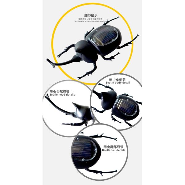 Promotional Solar Toys Solar Powered Beetle Insect Knowledge Educational Toys Multiage Kids Toys