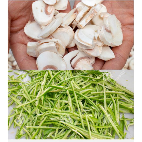 Professional cutting mushroom slice mushroom cutting processing equipment mushroom slicer