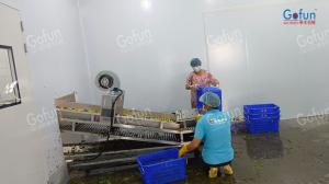 Best Stainless Steel 304 NFC Juice Puree Production Line Aseptic Filling EU Certification wholesale