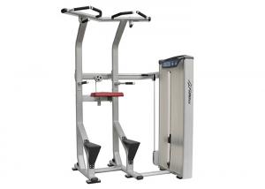 Best Indoor Assisted Chin Dip Machine Pneumatic Seat Structure Bodybuilding Eco Friendly wholesale
