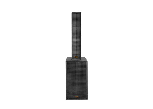 Cheap Powered Line Column Array Speaker Black Paint For Stage Carvin for sale