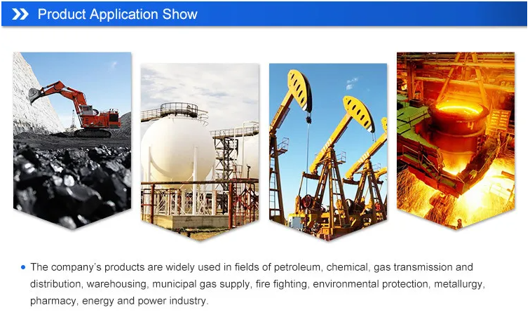 Wireless Transmission Solar Charging Wall Mount Fixed Combustible Gas Detector