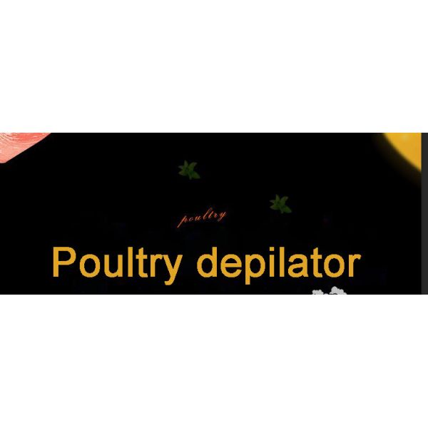Multifunctional Buy Bird Machine Handheld Chicken Plucker For Wholesales