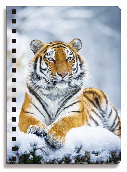 Wholesale customized hot sale size A6 A5 A4 PET spiral 3D lenticular CMYK printing notebooks for office work