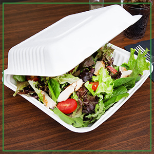 Disposable Food Containers