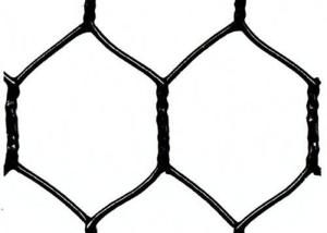 China 25mm Green Black Vinyl Coated Chicken Wire Fencing 1in 20 Gauge Poultry Netting on sale