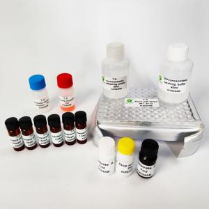 Best Trichothecenes T-2 Peanut Test Kit ELISA Aflatoxin Testing Equipment For Feed Rice 3ppb wholesale