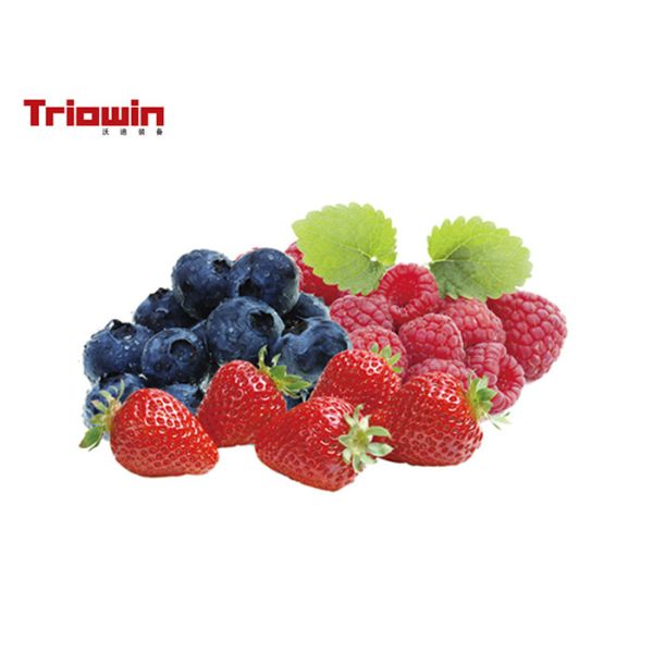 Raspberry Processing Machine Raspberry Beverage Processing Line concentrated juice and jam