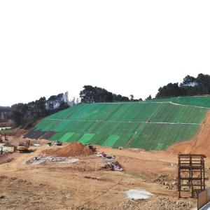 Best Online Technical Support 3D Erosion Control Geonet for Road Mountain Slope Protection wholesale