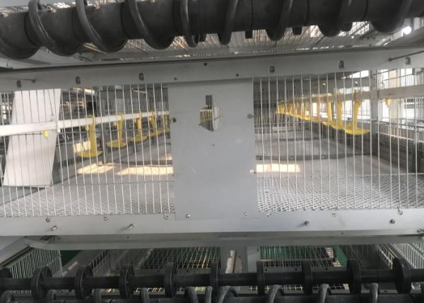 Cheap Energy Saving Automatic Poultry Watering Systems / Automatic Drinker Poultry for sale