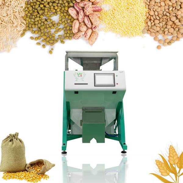 Cheap Wenyao Almond Nut Color Sorter Machine Pecans Color Sorting Machine With CCD Camera for sale