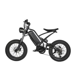 Best Max Speed 25km/h 48V 1000W Fat Tire Electric Dirt Bikes for Adults Adapt to All Terrain wholesale