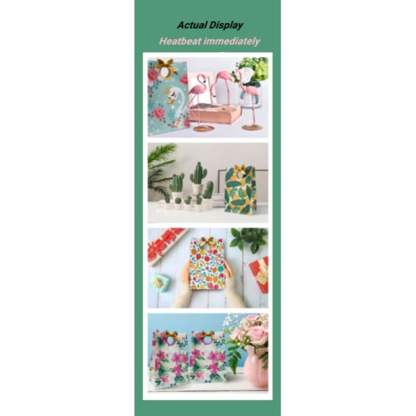 Reinforced Food Beverage Packaging Container Bag OEM