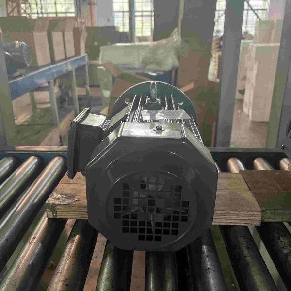 Cheap Compact Design Three Phase Electrical Motor With CE For New Energy Car for sale