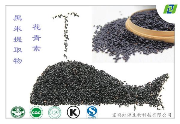 Cheap HACCP factory directly supply black rice extract for sale