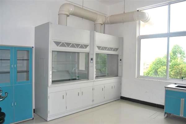 Cheap Anti Acid fume hood cabinet , PP Cup Sink Chemical Fume Cupboard for sale