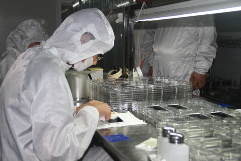 OEM IPad 4 White Touch Screen Digitizer + Home Button For Personal Communication System