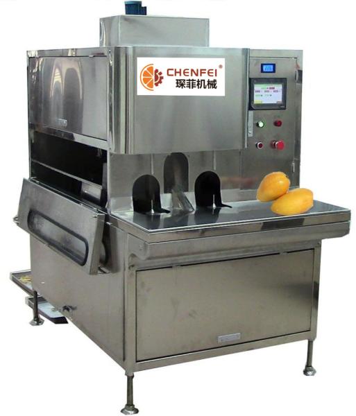 Cheap Compact Structure Mango Processing Line Paste Processing Line 5 Tons Per Day for sale