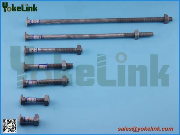 Cheap Hot dip galvanized Carriage bolt for sale