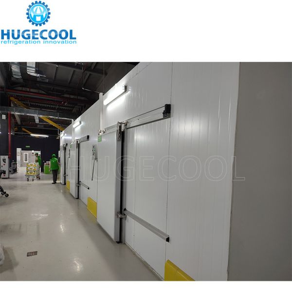 Assembled Structure Water Cooling Mobile Cold Storage Blast Freezer for Energy Saving