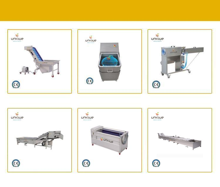 Washing and Peeling Function Stainless Steel Peeler Machine for Frozen Root Vegetables