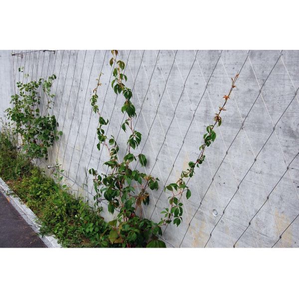 Building Surface Wire Rope Plant Trellis , Inox Flexible Wire Mesh Trellis