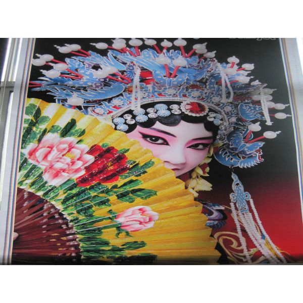 Large Format Solvent Inkjet Printer High Resolution 1440dpi For Polyester Canvas