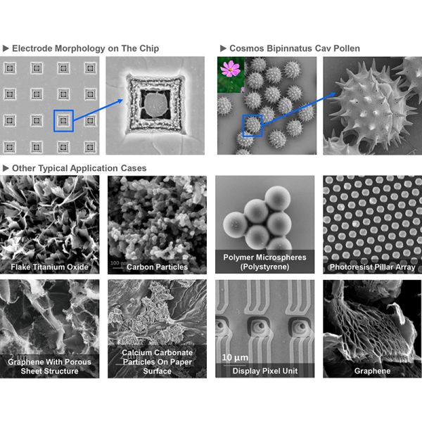 Opto Edu A63.7088 Schottky Field Emission Gun Scanning Electron Microscope SE+CCD 1x~2000000x