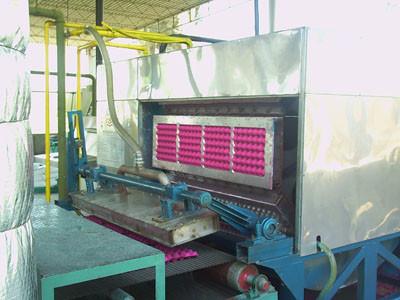 Cheap Waste Paper Pulp Egg Tray Making Machine , Recycling Small Egg Tray Machine for sale