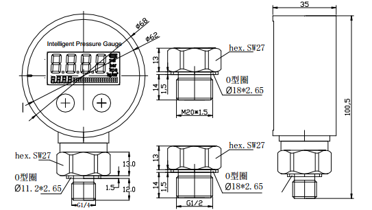 DC9V Digital Pressure Gauge