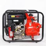 2900rpm Multistage Fire Pump High Pressure Water Pumps For Fire Fighting