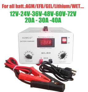 Best OEM 24V Golf Cart Battery Chargers Desulfator Maintainer With Smart Chip wholesale