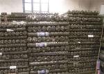 plastic chicken wire/chicken coop wire/poultry net/chicken wire fabric/chicken