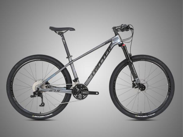 Carbon Fiber Mountain Bike 29er LEOPARDpro hydraulic Disc brake RETROSPEC 24 Speed 36 Speed Groupset