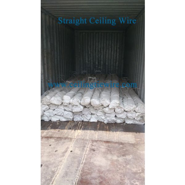 Q195 EG Straight Ceiling Wire 12ft 12 Gauge