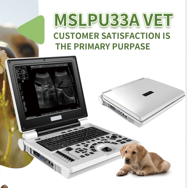 Black&white Portable Medical Ultrasound Scanner Machine for Vet Use