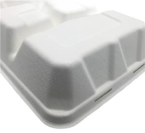 Microwavable 23×22×5cm 45g Biodegradable Takeout Containers